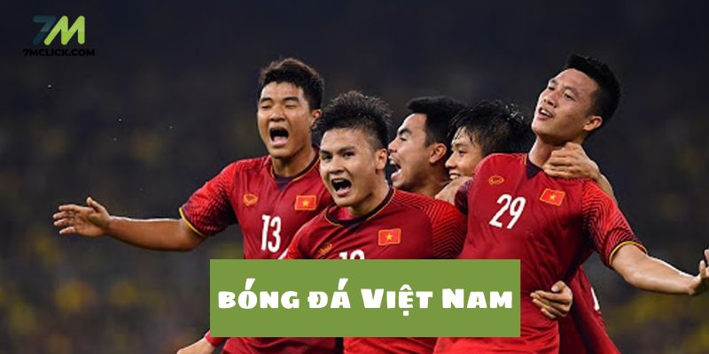 Bóng đá Việt Nam