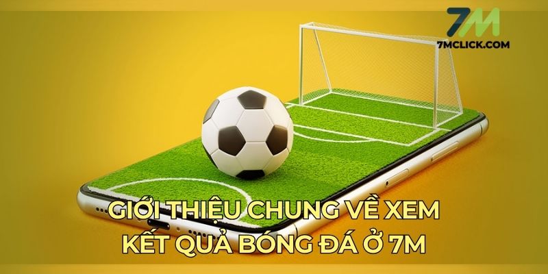 Giới thiệu chung về xem kết quả bóng đá ở 7m