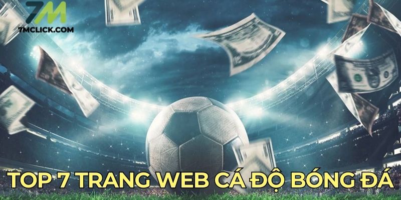 Web cá độ bóng đá